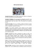 ERVAS DE OXALÁ.pdf